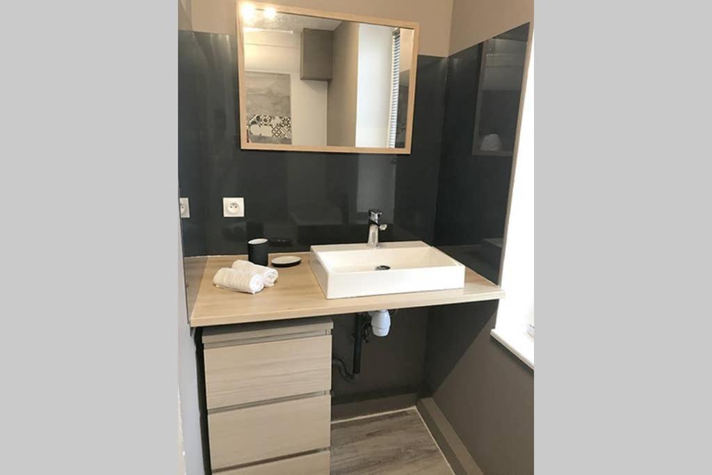 Annonay Centre, Grand Appartement Cosy, 3 Chambres Exterior foto