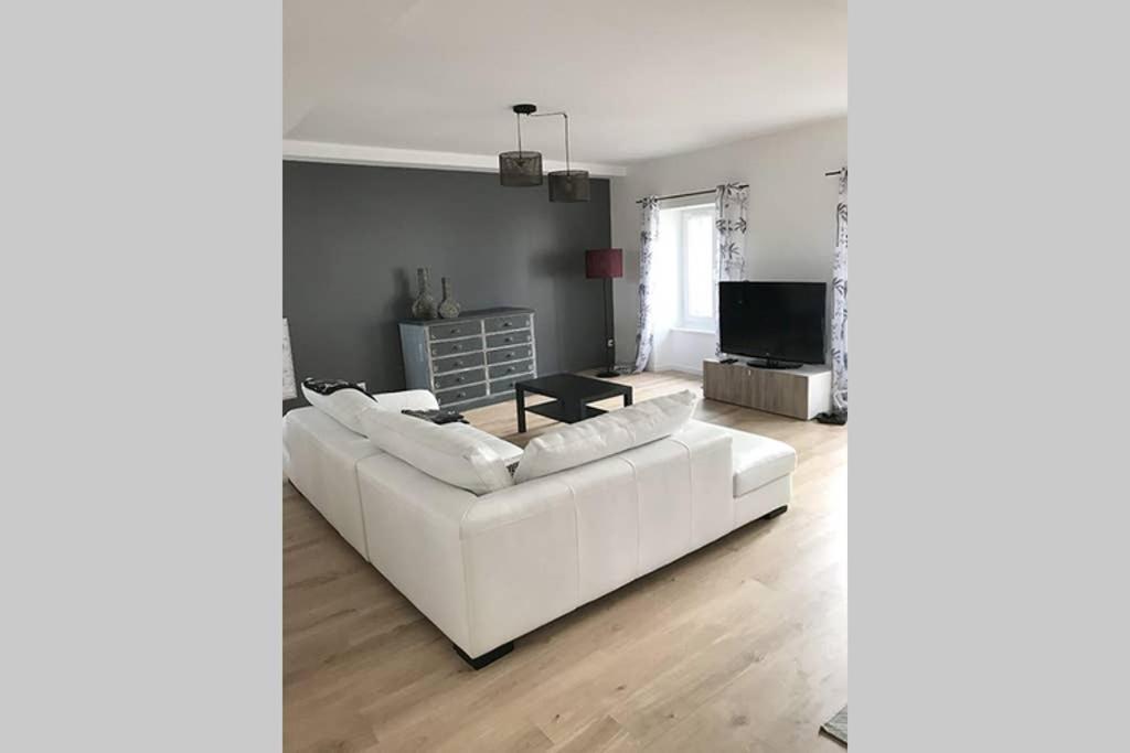 Annonay Centre, Grand Appartement Cosy, 3 Chambres Exterior foto