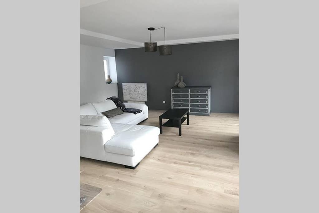 Annonay Centre, Grand Appartement Cosy, 3 Chambres Exterior foto